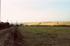 DX-33.jpg