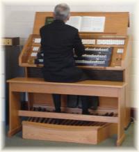 The organ