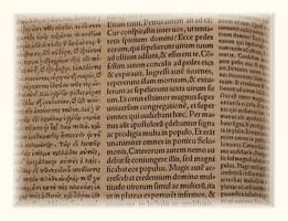 Erasmus Translation of 1515